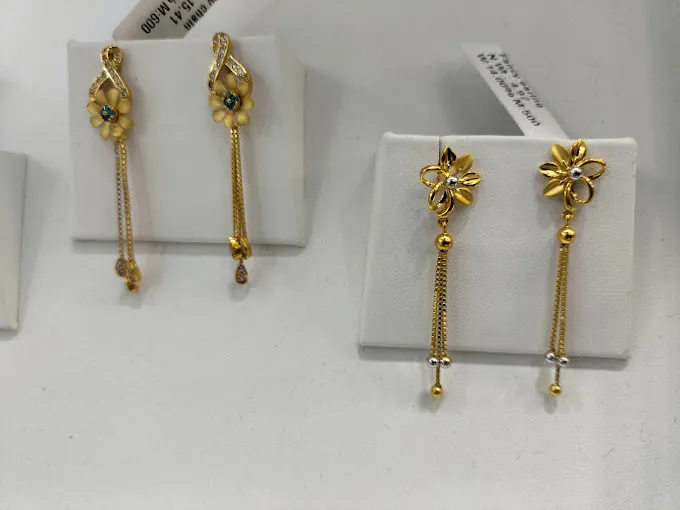 Image of: Maina Gold Palace in Mambalam 6