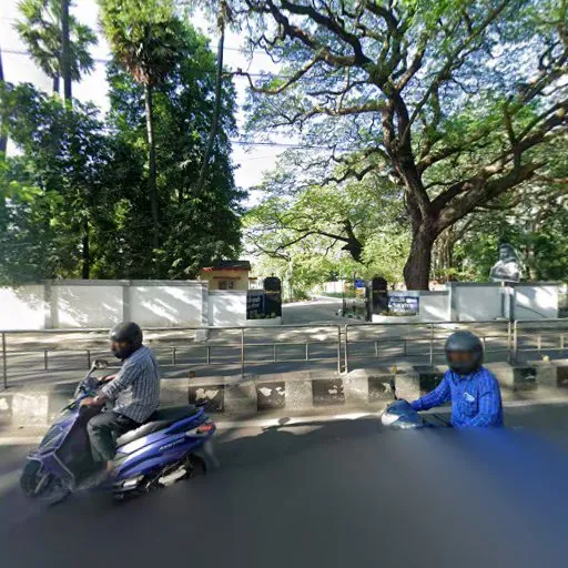 Image of: Swarovski Lighting in Nungambakkam