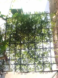 Center Street Light in Vyasarpadi