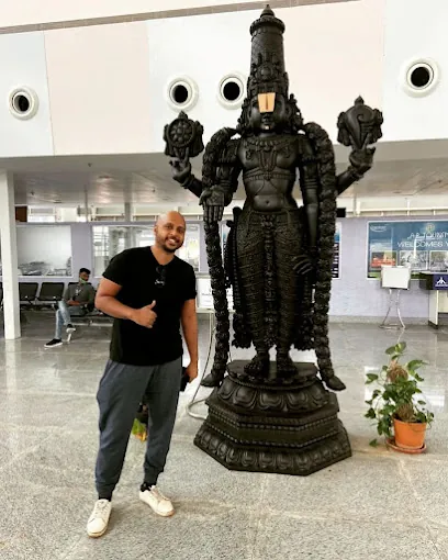 Image of: Balaji Travels in T. Nagar 4