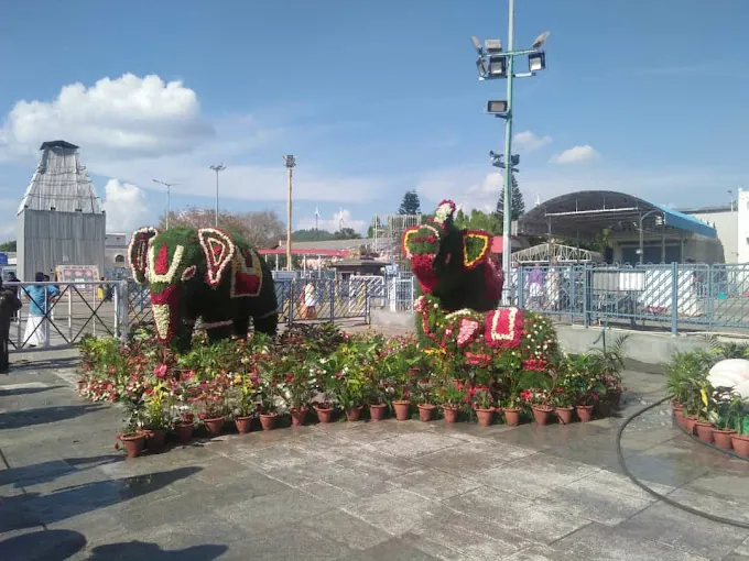 Image of: Balaji Travels in T. Nagar 7