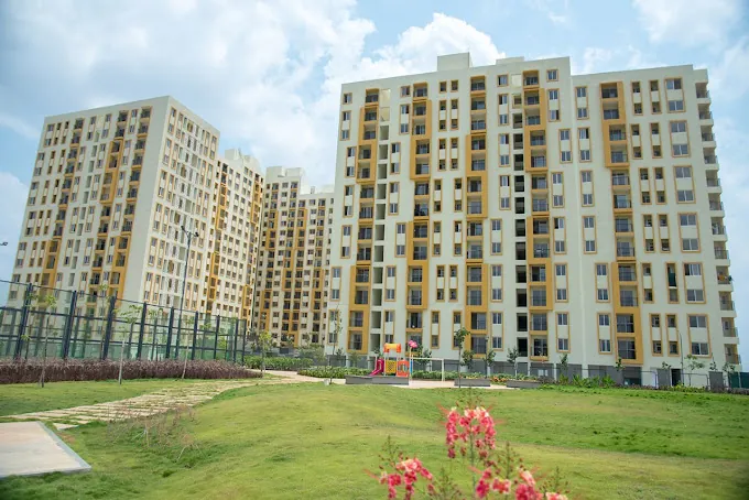 Propleaf in Saidapet