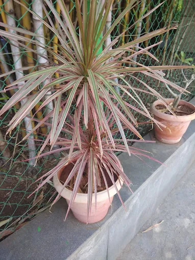 Image of: Smiley Beauty Saloon in Mahabalipuram Road