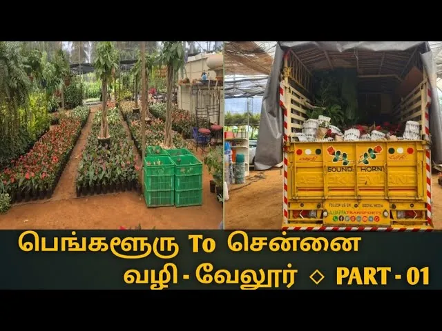 Image of: Ajjappa Transports in Chennai