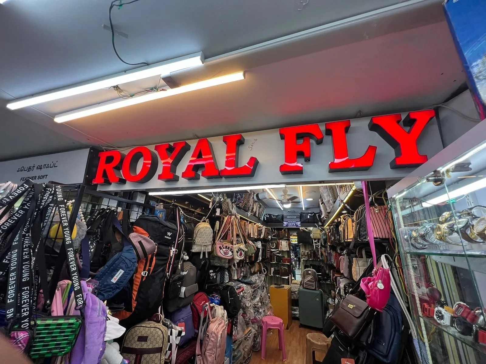 Royal Fly in Chennai