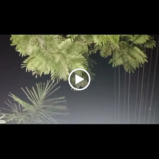 Image of: Blaack Forest in Koodal Nagar 7