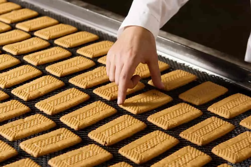 Image of: Perrys Biscuits Private Limited in Vilangudi