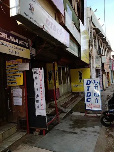 Image of: Dtdc Express Courier in Anna Nagar