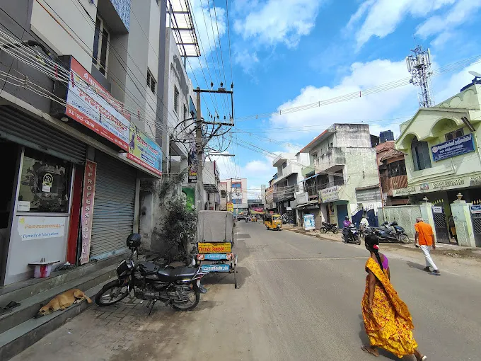 Image of: The Professional Couriers in Anna Nagar 3
