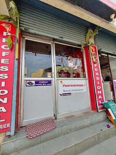 Image of: The Professional Couriers in Anna Nagar 6