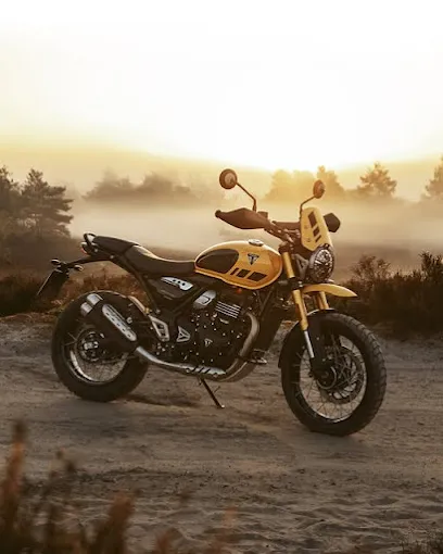 Image of: Triumph In Madurai