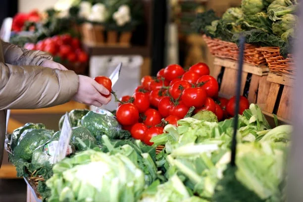 Image of: Anna Store In Madurai
