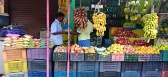 Gp Royal Palamuthirsolai In Thirunagar