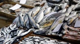 Image of: Karuppayurani Fish Market In Karuppayurani
