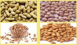 Image of: Pandian Kadalai Kadai In Simmakkal