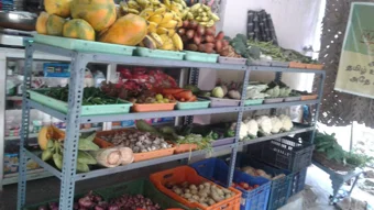 Image of: Shree Meenakshi Grocery Store In Iyer Bungalow