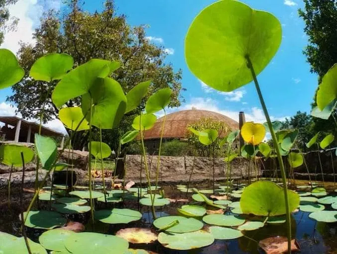 Image of: Isha Yoga Center in Madurai