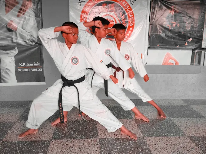 Image of: P M S Power Martial Arts Sports Academy in Sellur