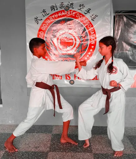 Image of: P M S Power Martial Arts Sports Academy in Sellur 4