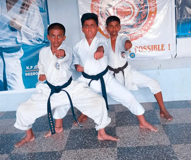 Image of: P M S Power Martial Arts Sports Academy in Sellur 5