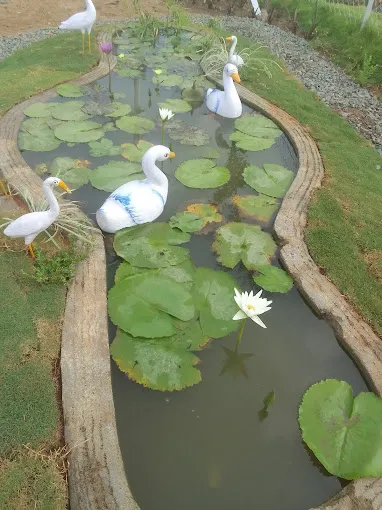 Image of: Aadharam Thalir Nursery Garden In Madurai 3
