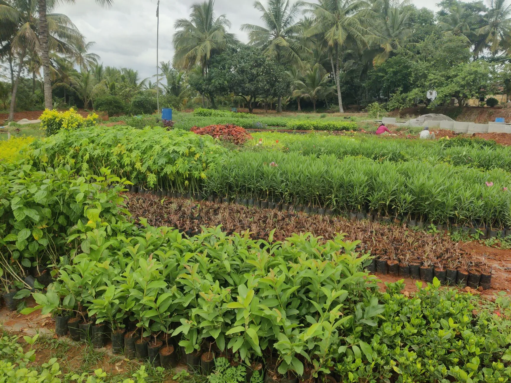 Image of: Anbu Garden In Madurai