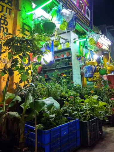 Image of: Ars Nursery And Agro In Simmakkal 3