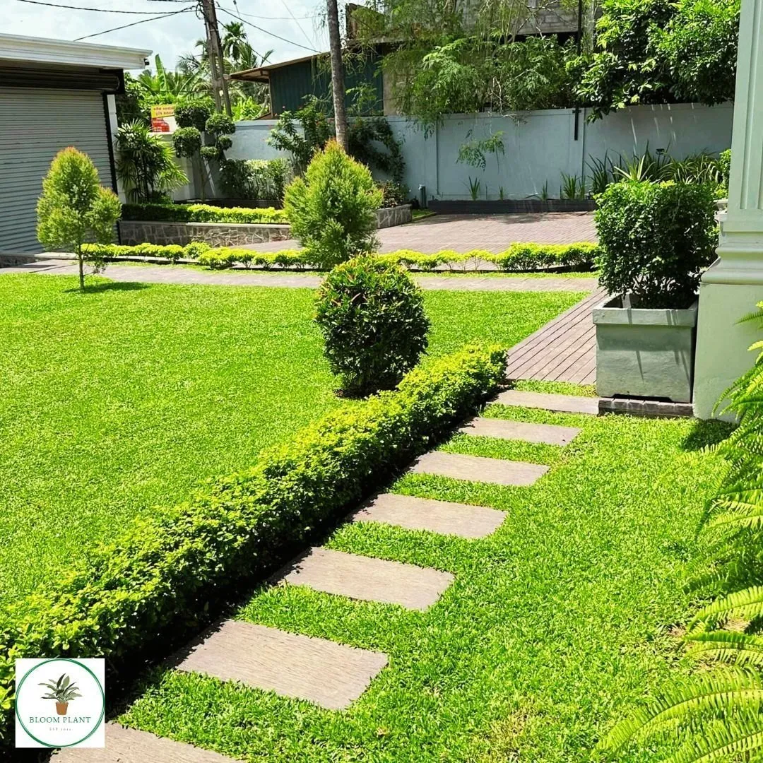 Image of: Arun Home Genga Garden In Sellur
