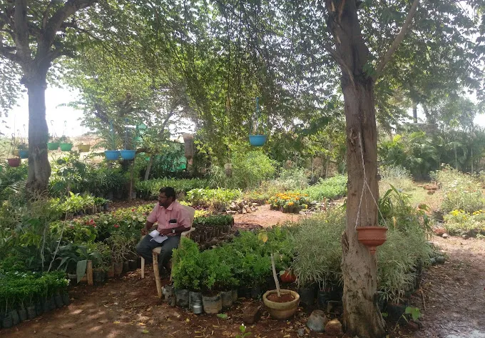 Image of: Asnursery Garden In Madurai 3