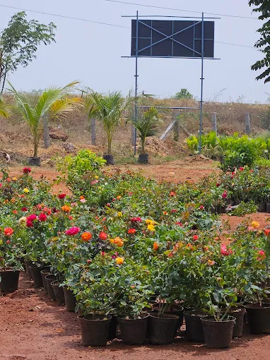 Image of: Asnursery Garden In Madurai 4