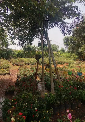 Image of: Asnursery Garden In Madurai 5