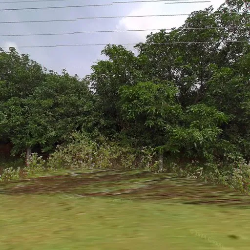 Image of: Ayubav Gardens In Madurai