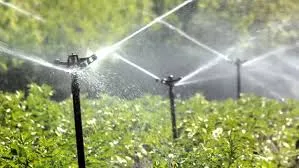 Image of: Bathe Gardens In Villapuram