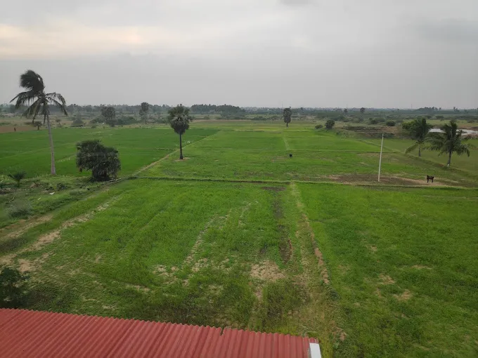 Image of: Cher Garden And Home In Madurai