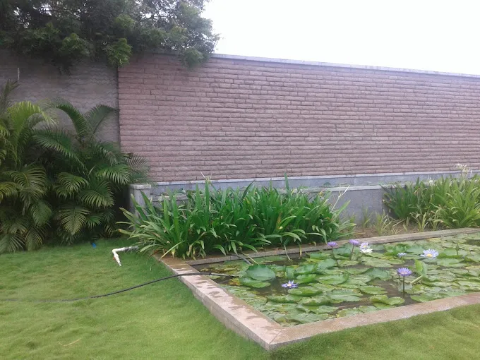 Image of: Green Nursery Garden In Madurai