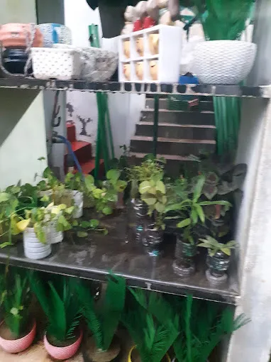 Image of: Green Nursery Garden In Madurai 3