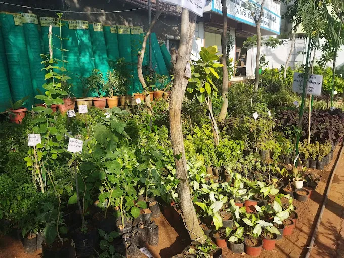 Image of: Green Nursery Garden In Madurai 4