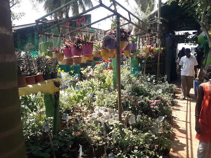 Image of: Green Nursery Garden In Madurai 7