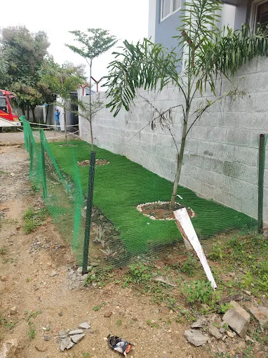 Image of: Green Solutions Nursery Garden In Madurai