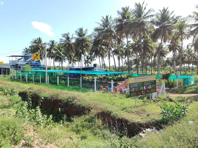 Image of: Green Solutions Nursery Garden In Madurai