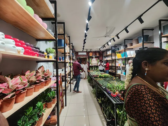 Image of: Grow Naturals In Kk Nagar 3