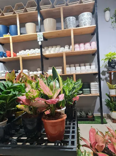 Image of: Grow Naturals In Kk Nagar 5