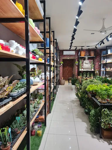 Image of: Grow Naturals In Kk Nagar 6