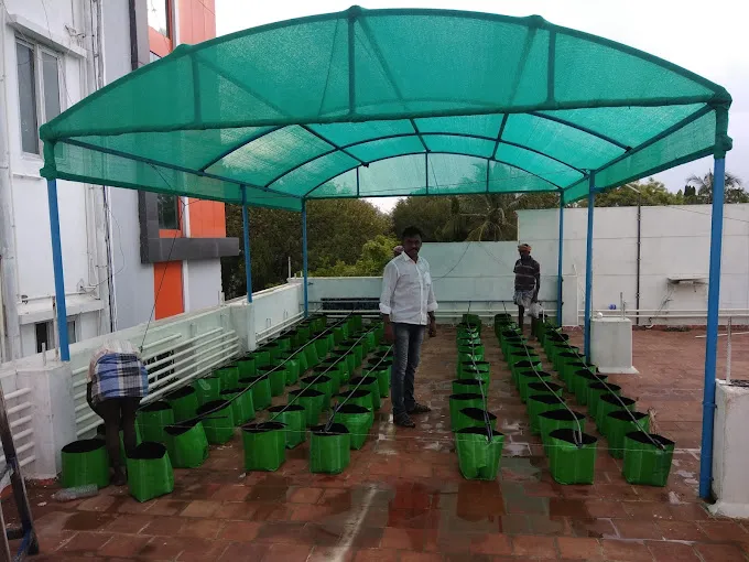 Image of: Home Gardening In Kalavasal 3