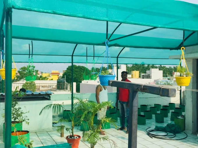Image of: Home Gardening In Kalavasal 5