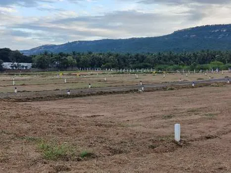 Image of: Js Garden In Thiruparankundram