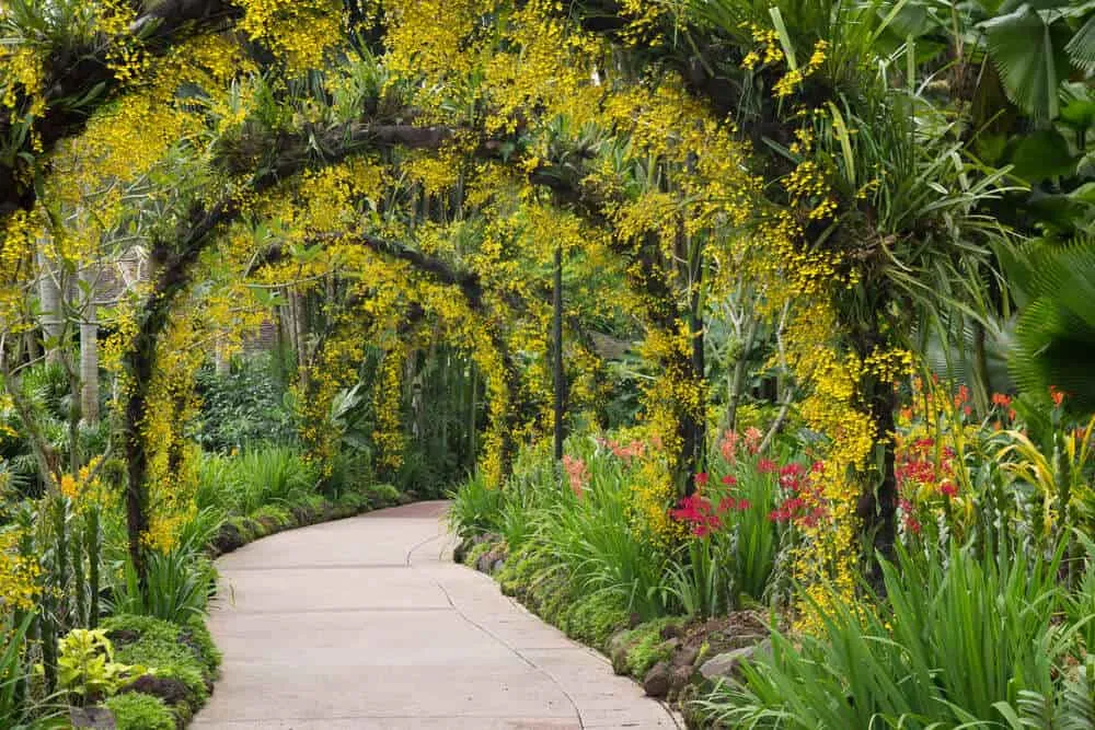 Image of: Keelakottai Brundhavan Garden In Madurai