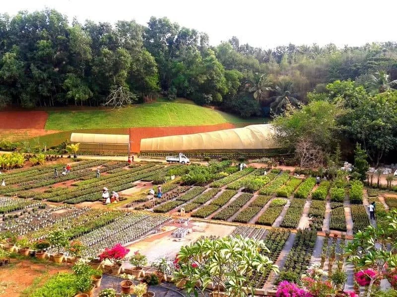 Image of: Kgp Gardens In Palamedu