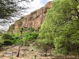 Image of: Kundrangkadu Urban Sacred Groove In Thiruparankundram