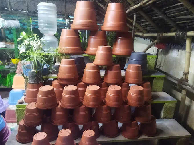 Image of: Lotus Nursery Garden In Madurai